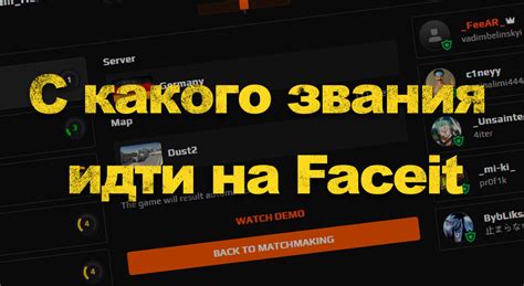 фейсит анализер